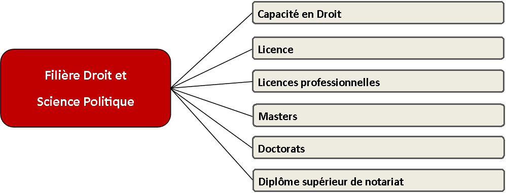 filière droit et science politique